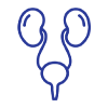 icon service one